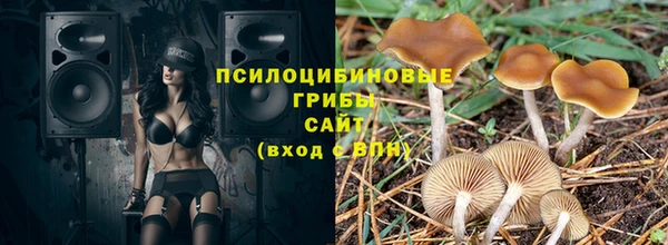 прущая мука Армянск
